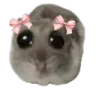 SadHampter