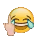 laugh_middle_finger