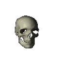 spinningskull