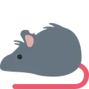 ratCopy9