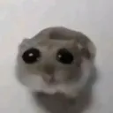 emoji_3 emoji_3