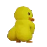 ducktwerk