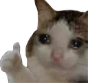 Ok_Bro_Sad