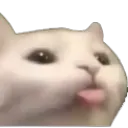 AUI_catblep Discord Emoji