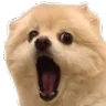 dogewow