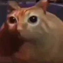 cd5f44648821318f946c8e9bea84c444