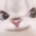 CatMenace