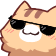 cat_sunglasses_cool