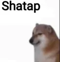 OP_shatap