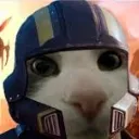 helldiver_cat