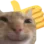 PP_catthumbsup