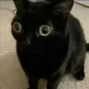 jinx