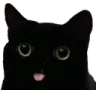 SMCVoidKitty