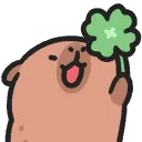 capyclover