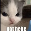 not_hehe