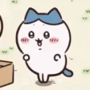 HachiExcite