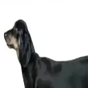 bruhdonelostitandsnapped