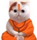a_sanyasi Discord Emoji