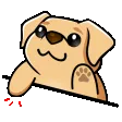 GoldenBongo2