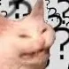 096 096