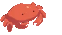 crab