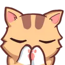 cat_pray