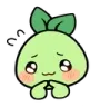 Shy Shy