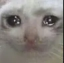 despair despair
