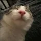 zzz
