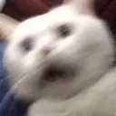 93a3709c4ae8af6b9d790c5c6b468d65