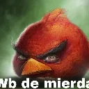 WBdeMier WBdeMier
