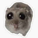 SadRat