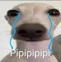 pipipipi
