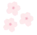 Sakura_flowers