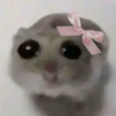 zHamsterPls Discord emoji