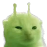 glorp