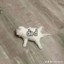 died