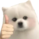 DogThumbsUp