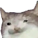 hhh hhh