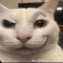 catrizz Discord Emoji