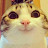 Discord Emote derpcat: