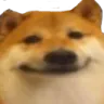 38_Happy_Doge