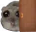 hampeek