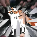 Autumn_Smug