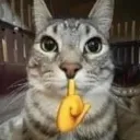 mewing1