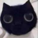 OWO