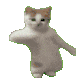 C Catdance Discord Emoji
