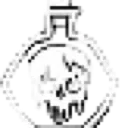 yellowelixir