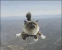 skypuss