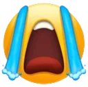 sobbycrynigga
